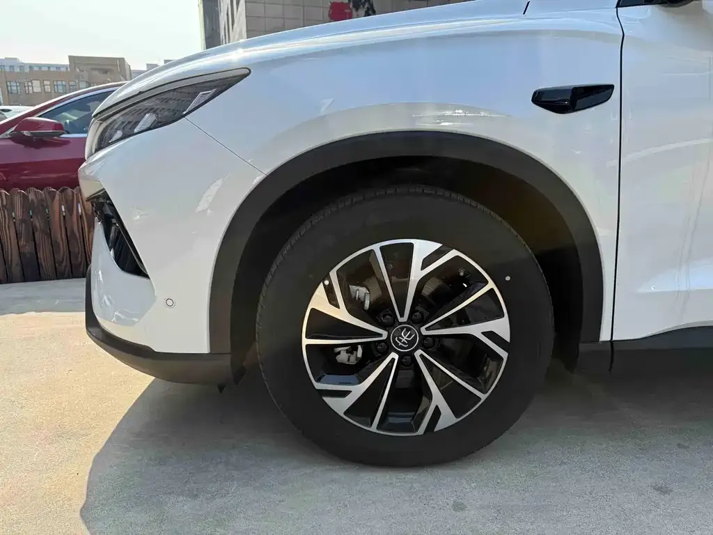 BYD Pro New Energy — фото 7