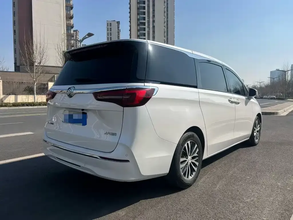 Buick GL8 2021 из CN, фото 8