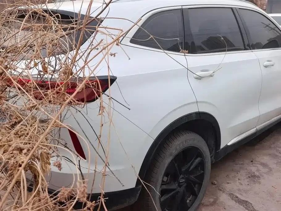 Haval H6 2022 из CN, фото 4