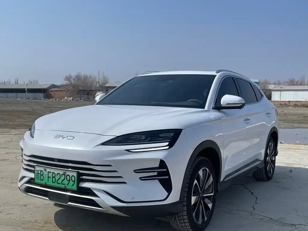 BYD PLUS New Energy 2024 из CN, фото 1