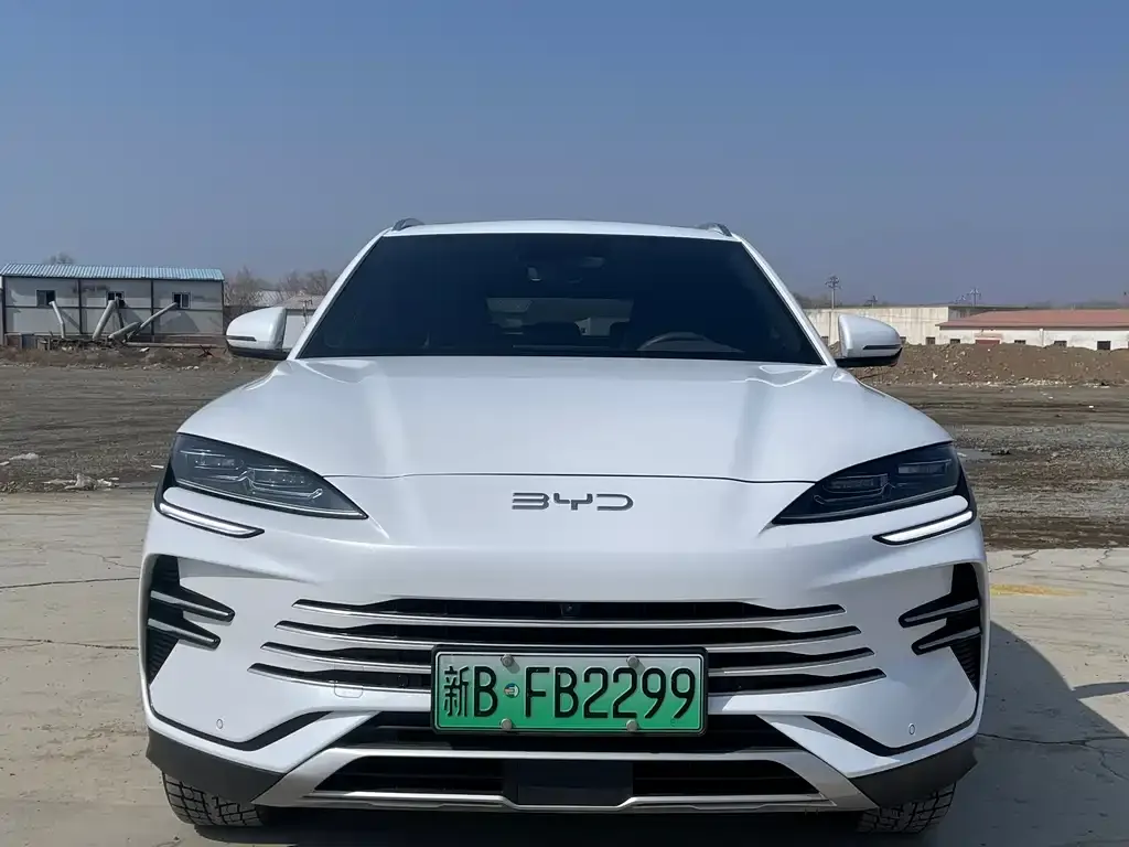 BYD PLUS New Energy 2024 из CN, фото 6