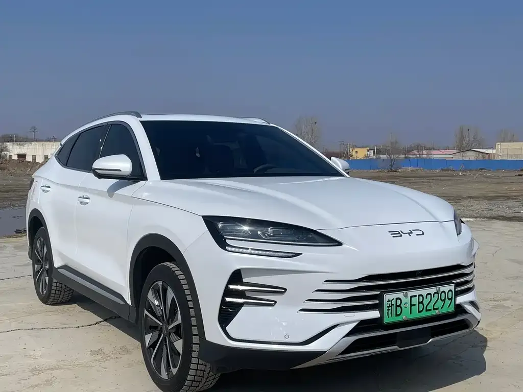 BYD PLUS New Energy 2024 из CN, фото 4