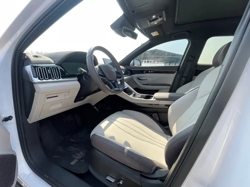 BYD PLUS New Energy 2024 из CN, фото 3