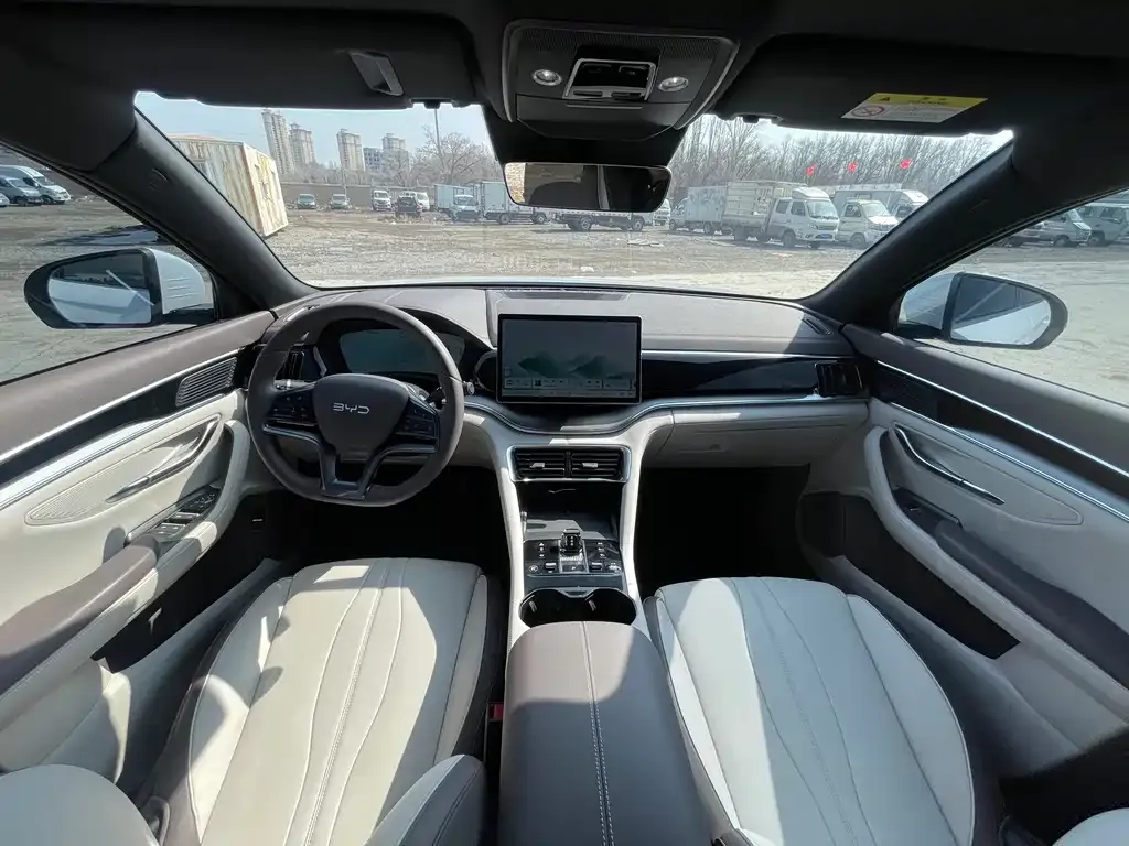 BYD PLUS New Energy 2024 из CN, фото 8