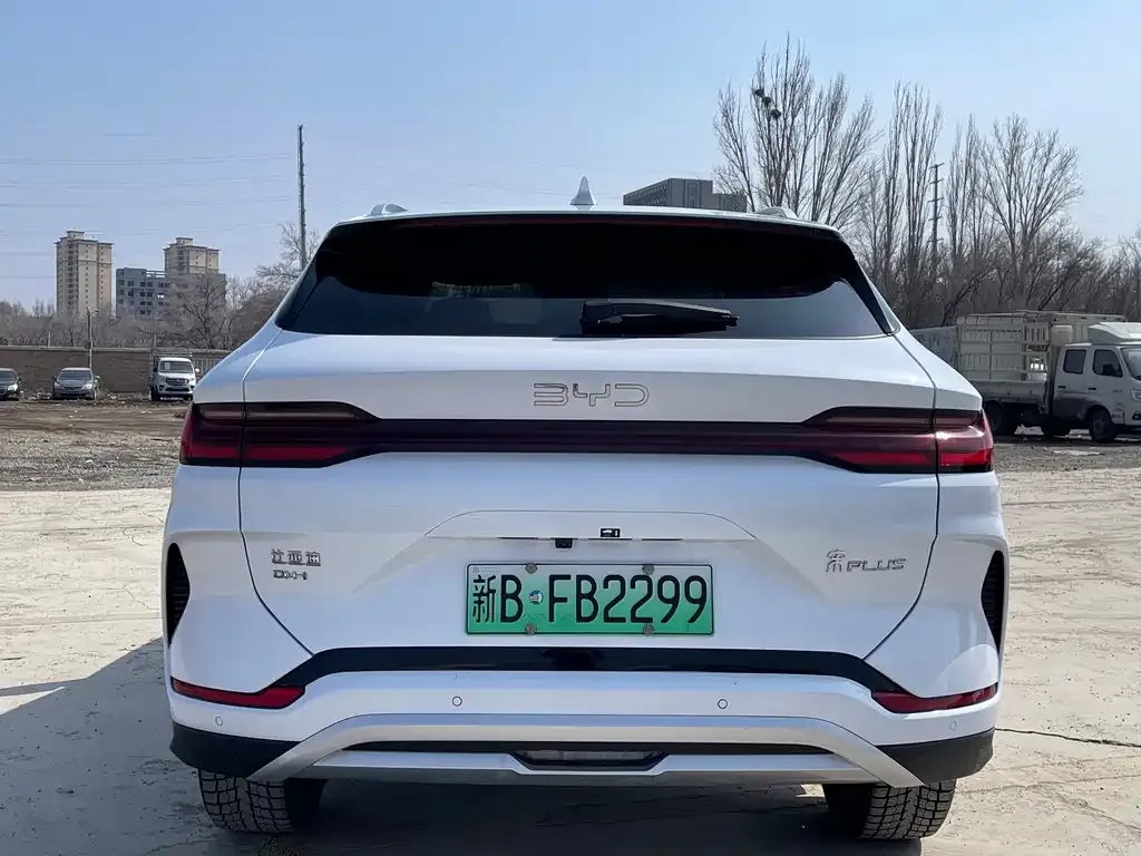 BYD PLUS New Energy 2024 из CN, фото 2