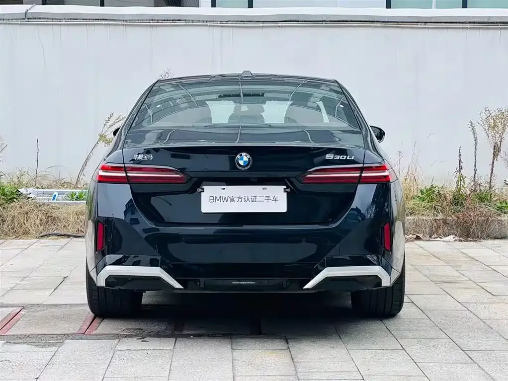 BMW 5 Series 2025 из CN, фото 7