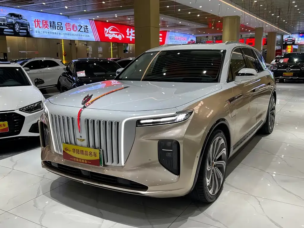 Hongqi E-HS9 — фото 1