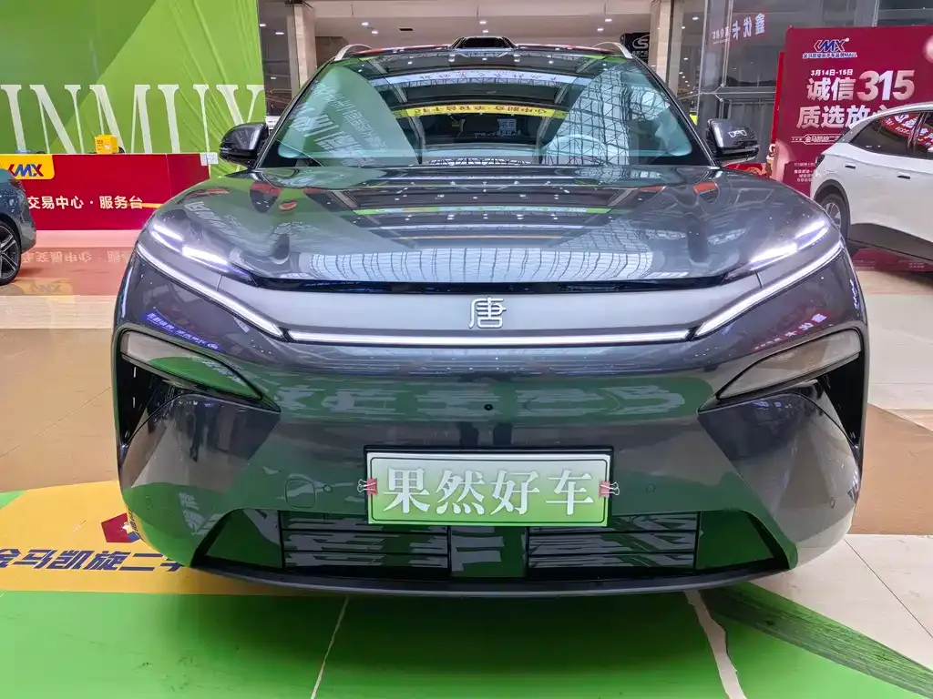 BYD Tang L 2025 из CN, фото 9