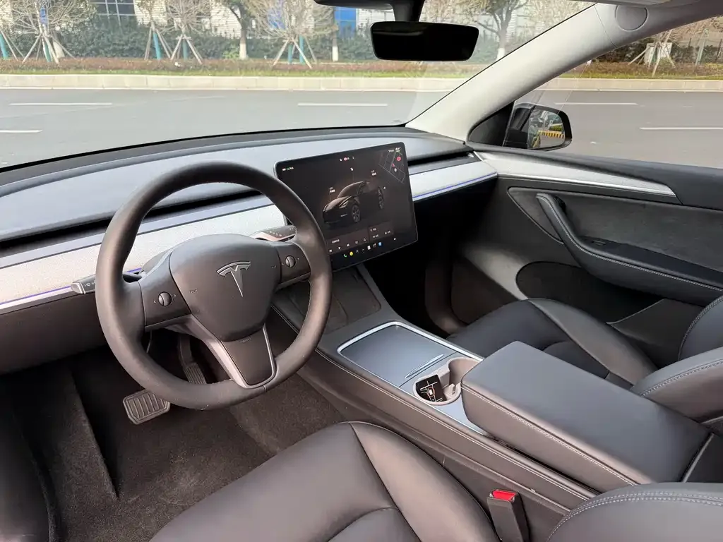 Tesla Model Y 2024 из CN, фото 7