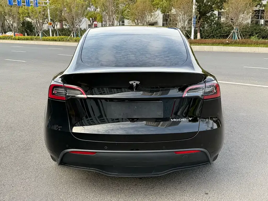 Tesla Model Y 2024 из CN, фото 9