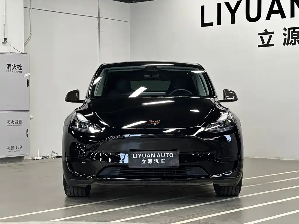 Tesla Model Y 2022 из CN, фото 7