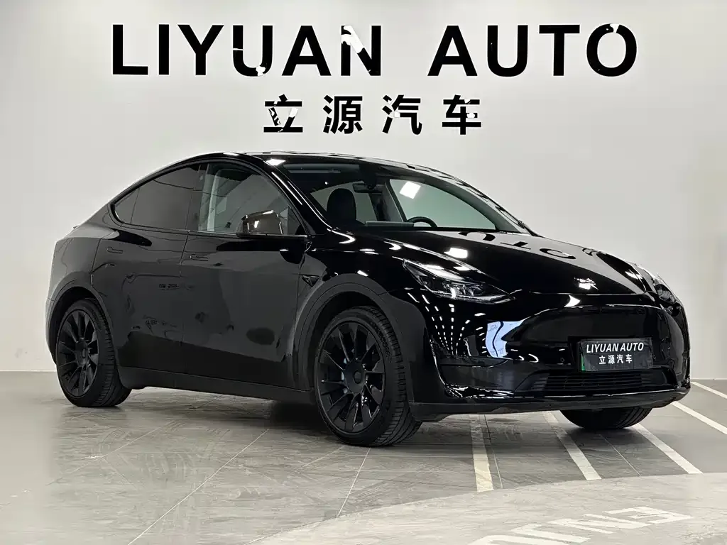 Tesla Model Y 2022 из CN, фото 3