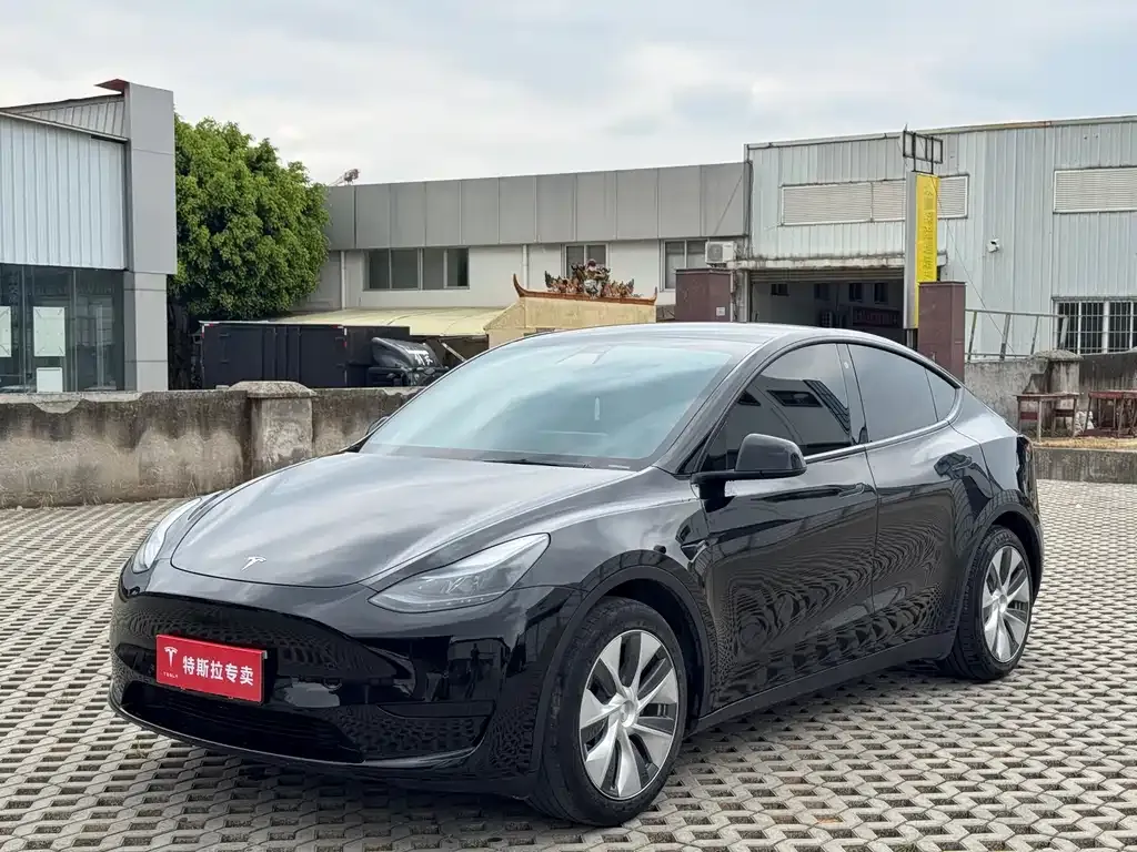 Tesla Model Y — фото 1