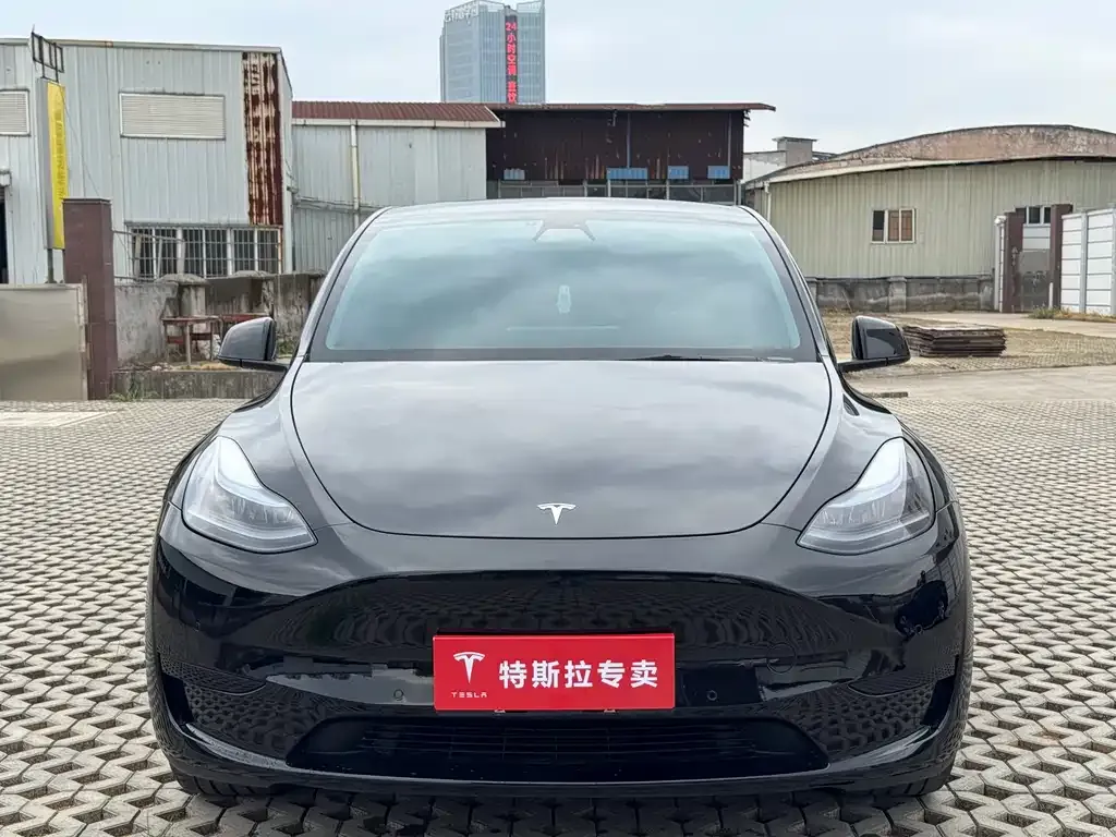 Tesla Model Y — фото 8