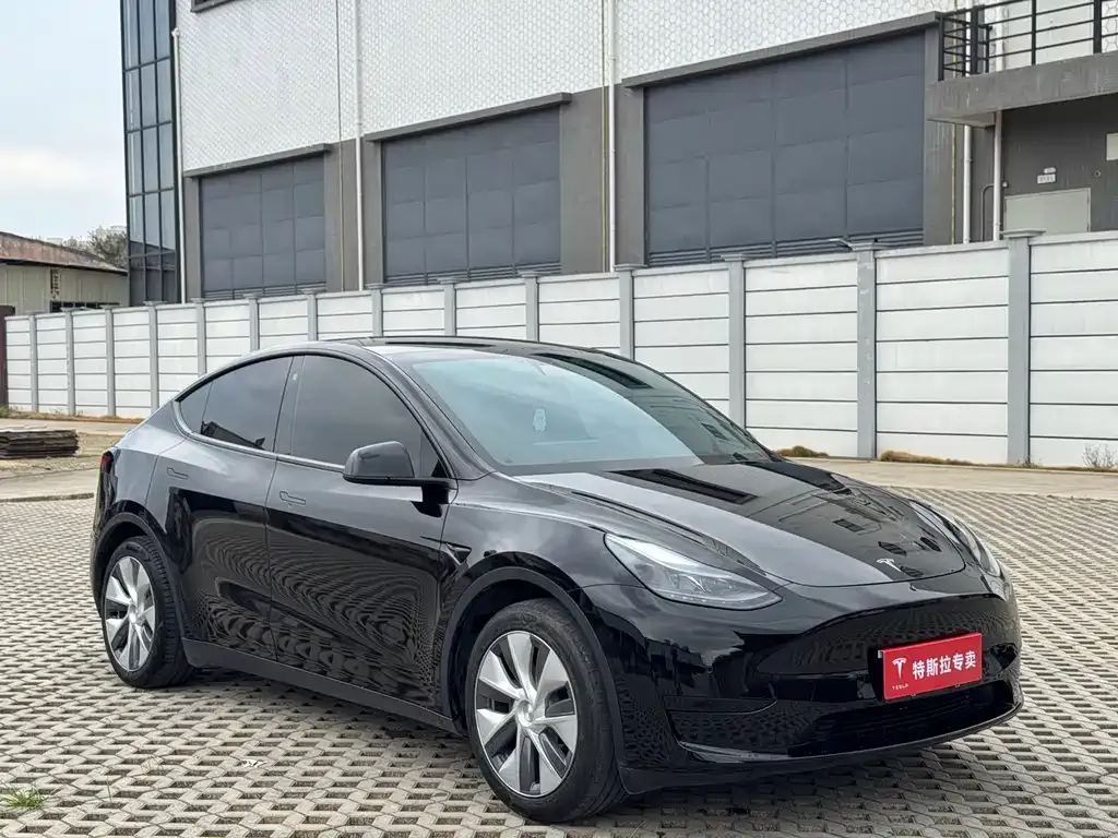 Tesla Model Y — фото 9