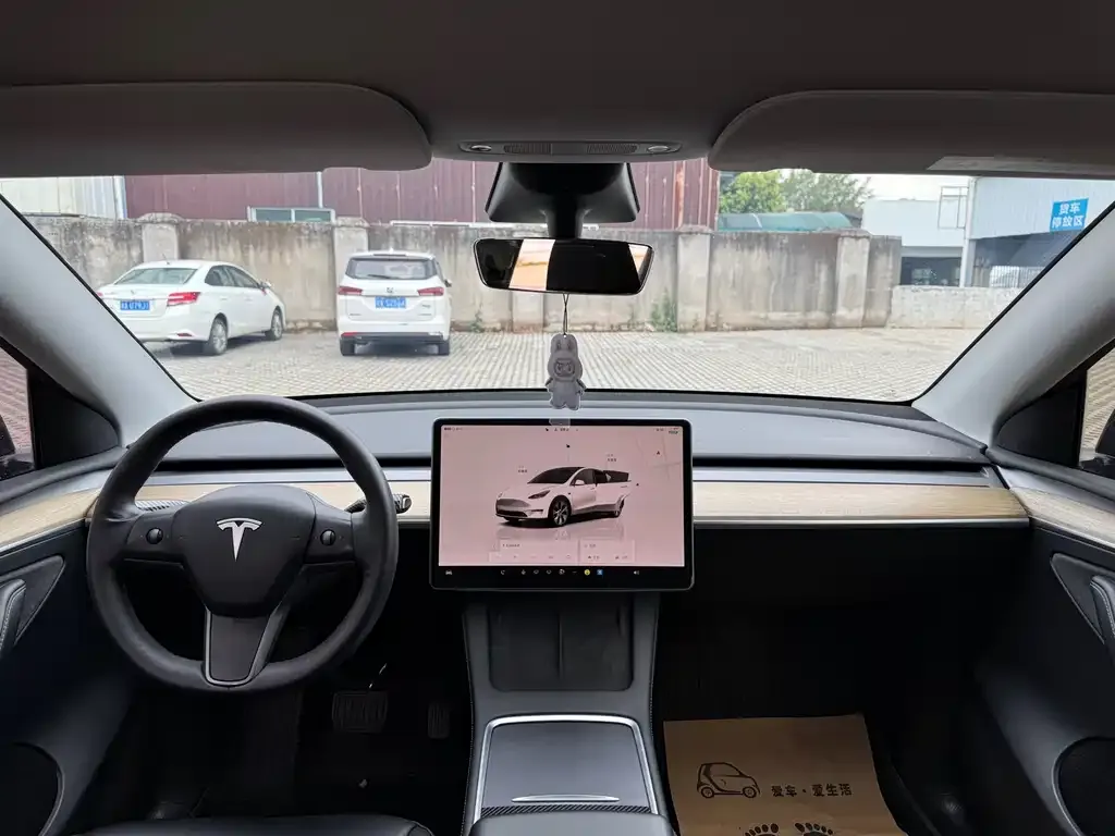 Tesla Model Y — фото 10