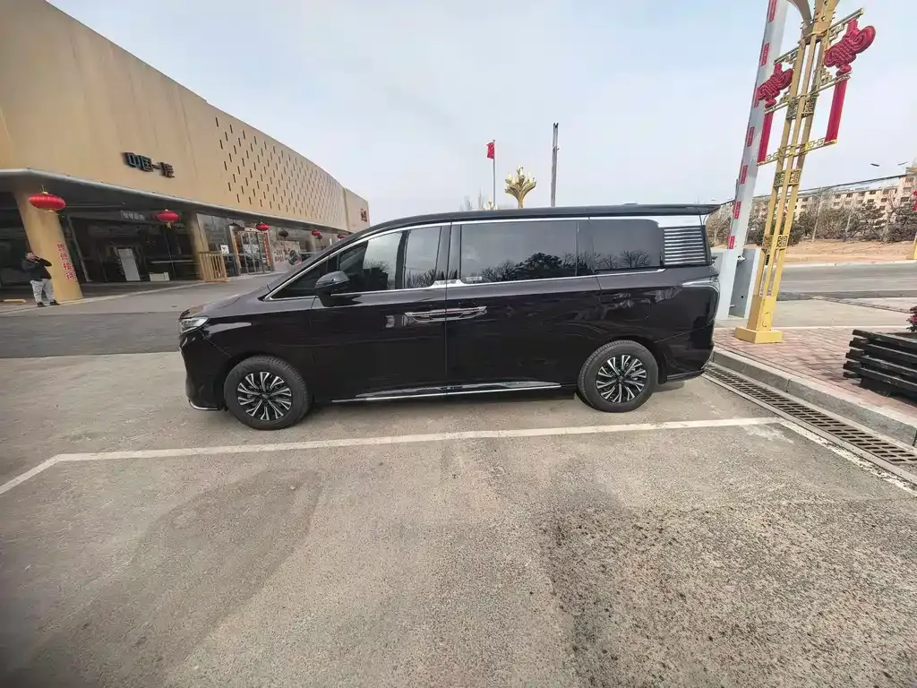 Hongqi HQ9 PHEV 2024 из CN, фото 3