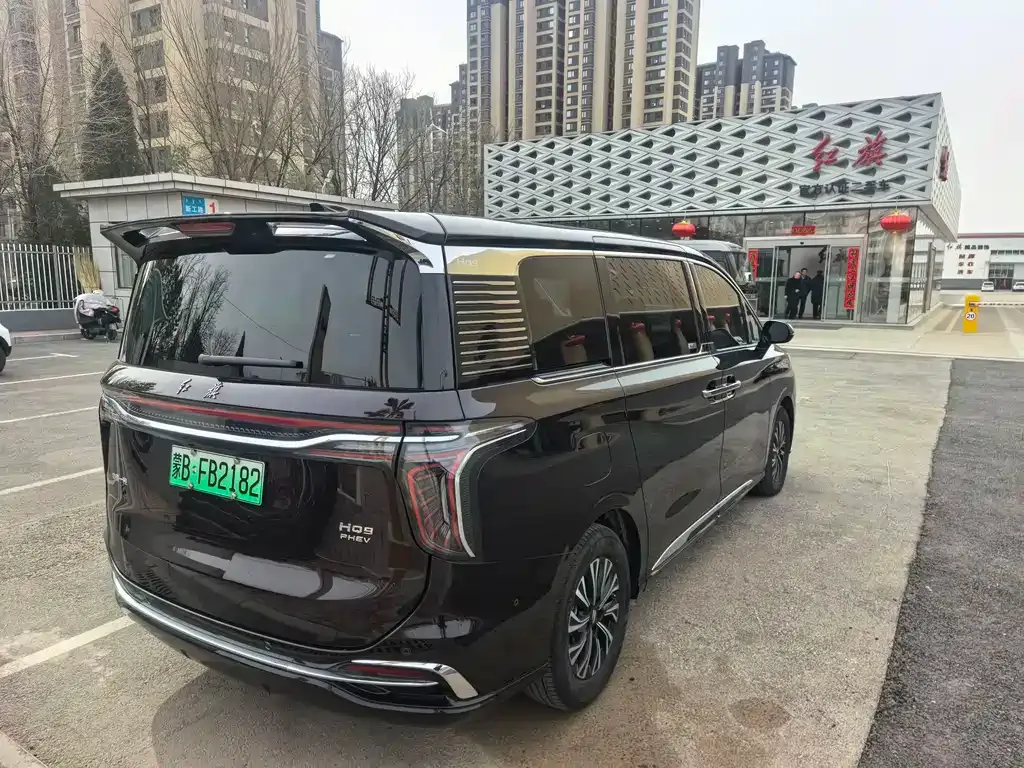 Hongqi HQ9 PHEV 2024 из CN, фото 10