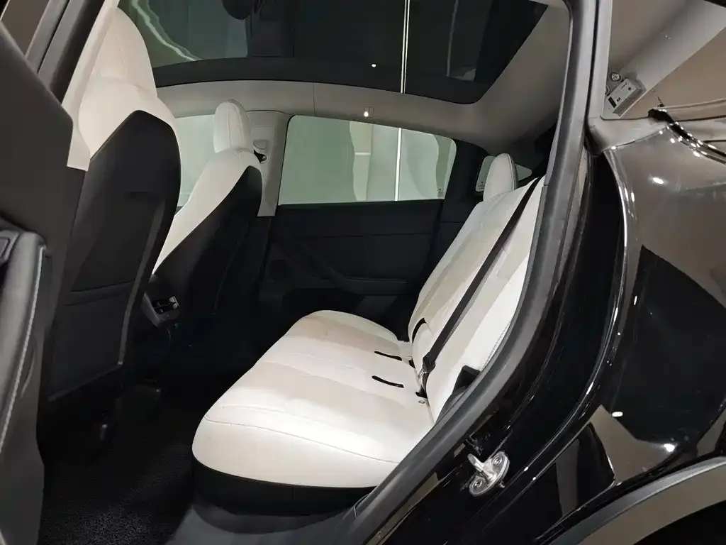 Tesla Model Y 2022 из CN, фото 4