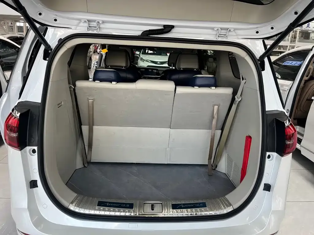 Buick GL8 2022 из CN, фото 6