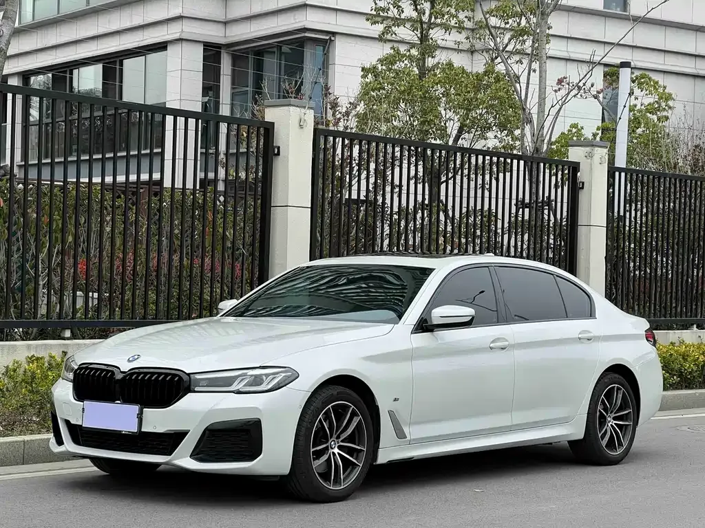 BMW 5 Series 2024 из CN, фото 1