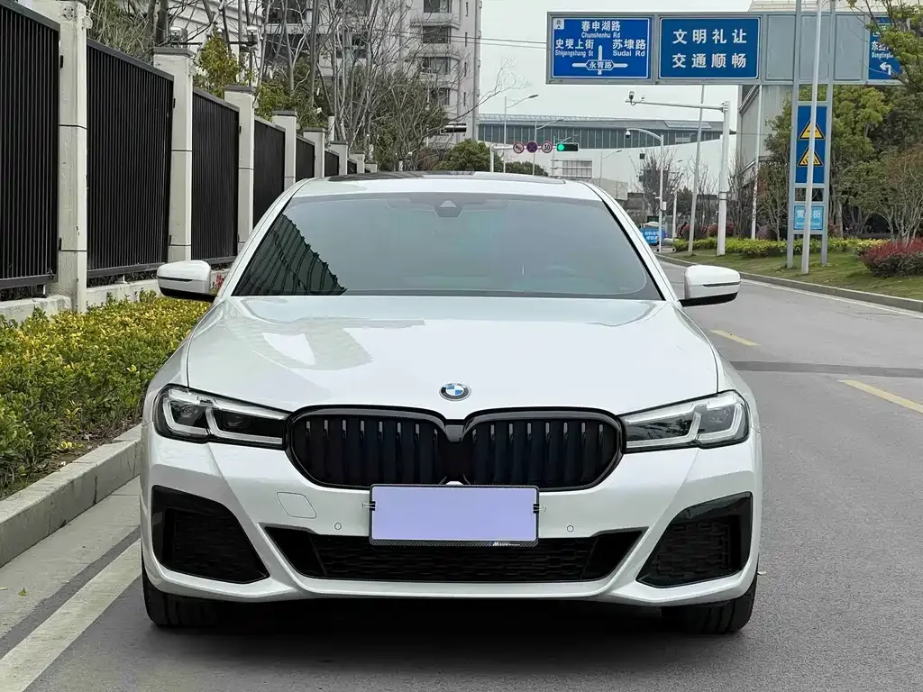 BMW 5 Series 2024 из CN, фото 9