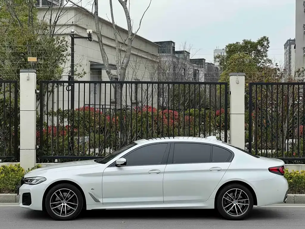 BMW 5 Series 2024 из CN, фото 6