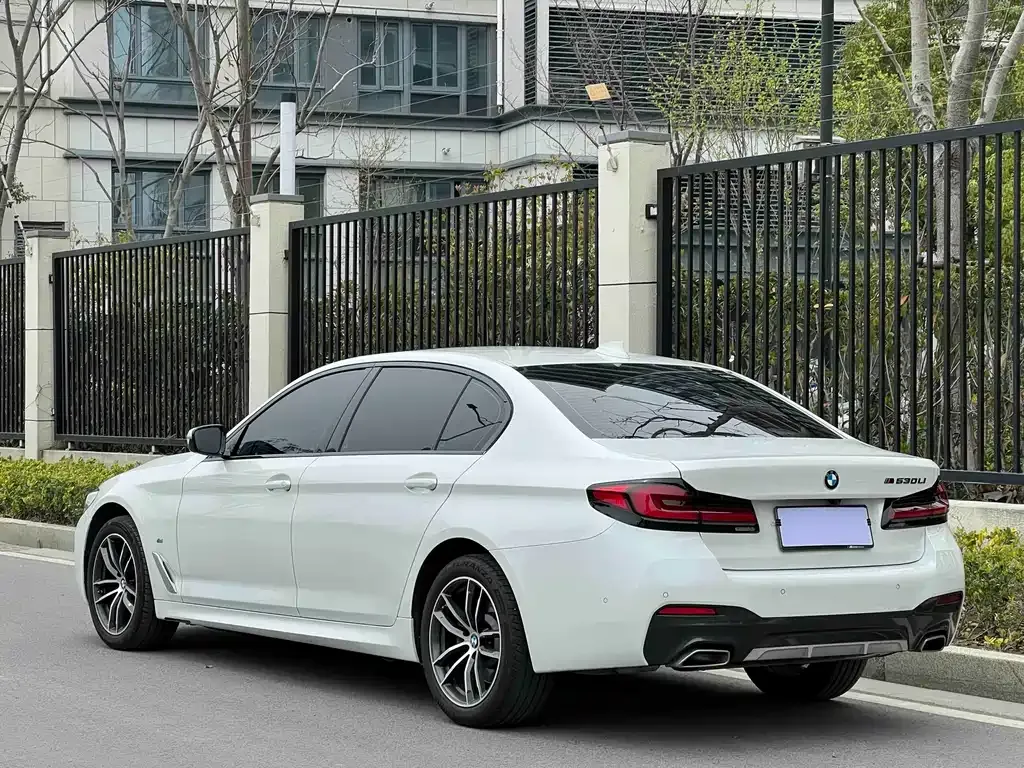 BMW 5 Series 2024 из CN, фото 8