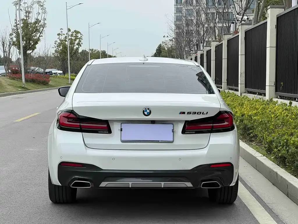 BMW 5 Series 2024 из CN, фото 7