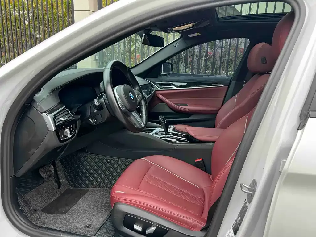 BMW 5 Series 2024 из CN, фото 3