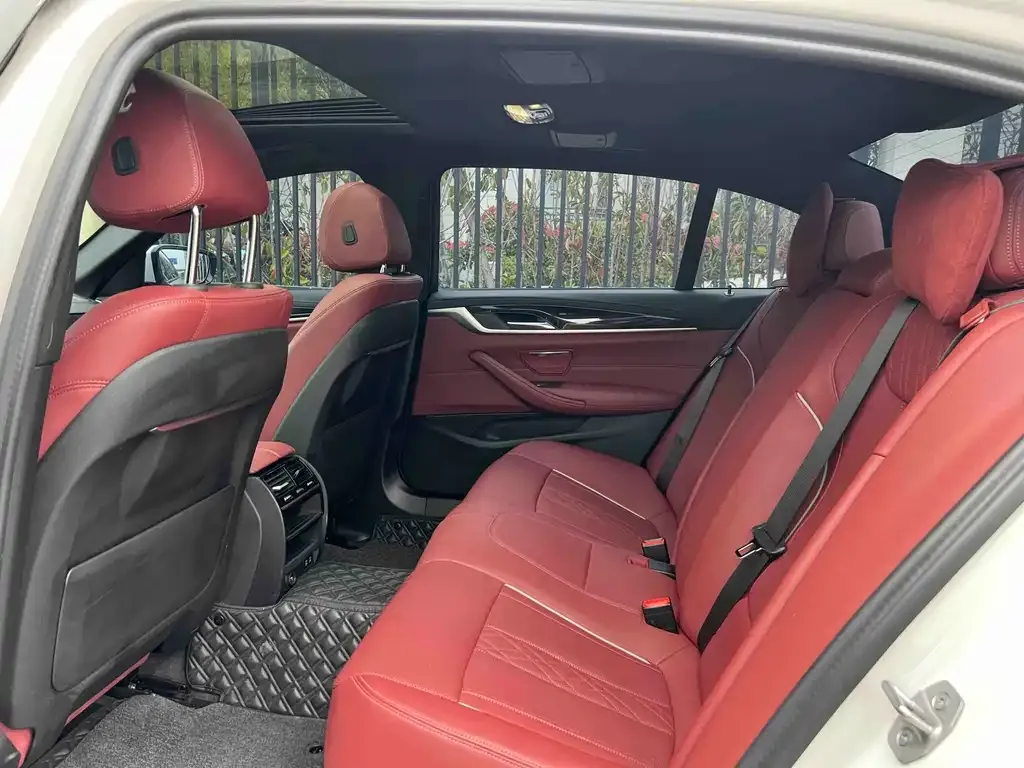 BMW 5 Series 2024 из CN, фото 5