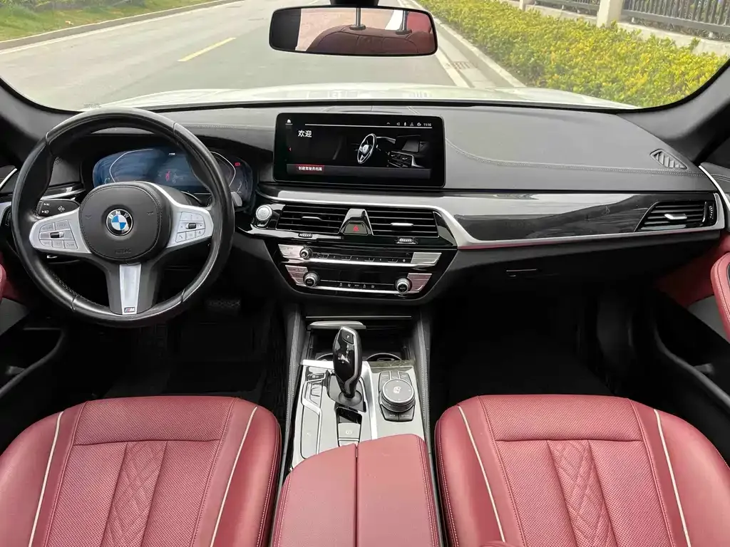 BMW 5 Series 2024 из CN, фото 4