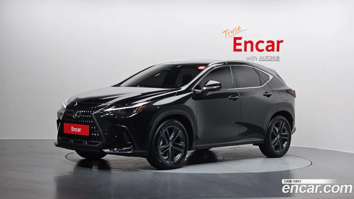 Lexus NX 2025 из KR, фото 1
