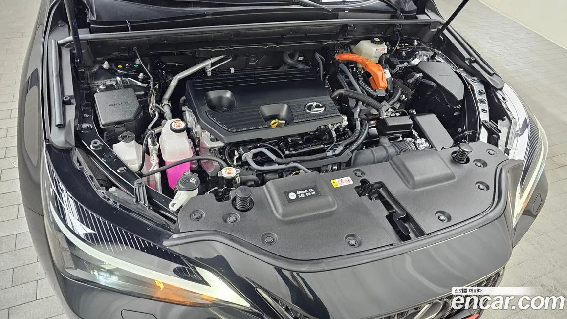 Lexus NX 2025 из KR, фото 7