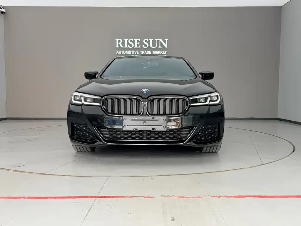 BMW 5 Series New Energy 2022 из CN, фото 2