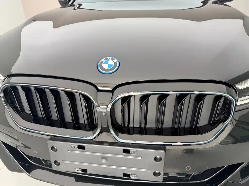 BMW 5 Series New Energy 2022 из CN, фото 5