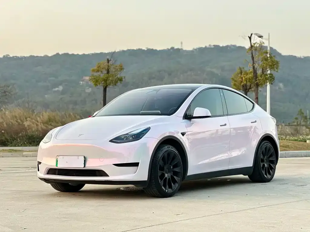 Tesla Model Y — фото 1