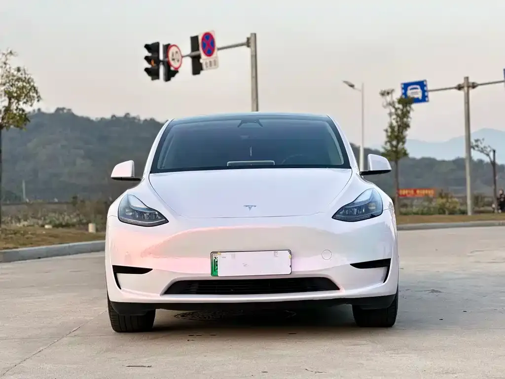 Tesla Model Y — фото 3
