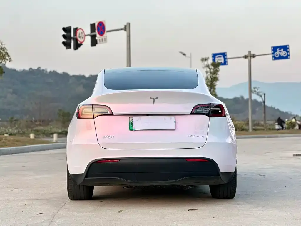 Tesla Model Y — фото 2