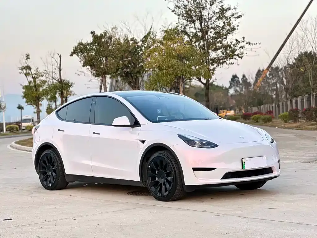 Tesla Model Y — фото 7