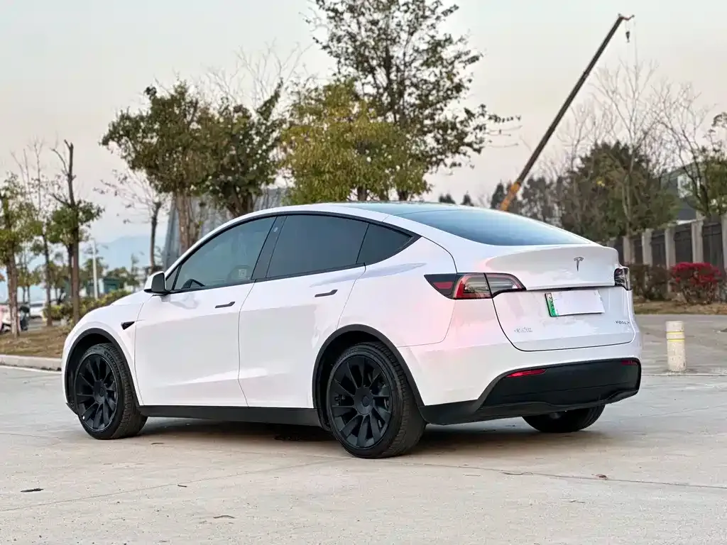 Tesla Model Y — фото 6
