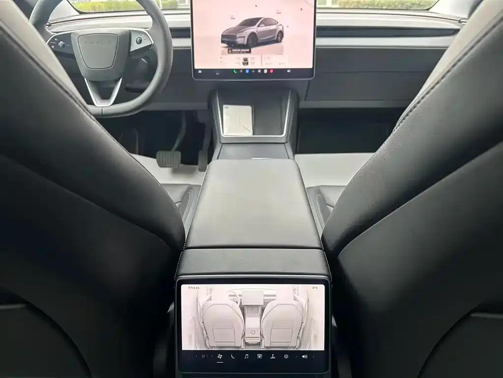 Tesla Model Y — фото 2