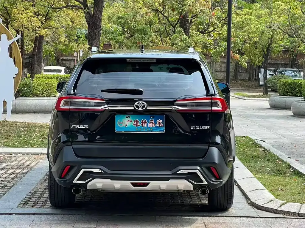 Toyota Wildlander 2021 из CN, фото 5