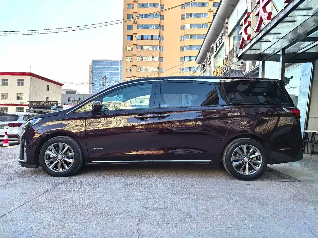Buick GL8 2022 из CN, фото 8