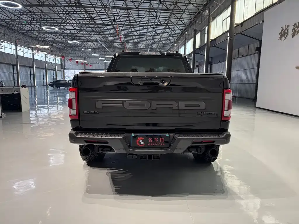 Ford F-150 Raptor 2024 из CN, фото 5