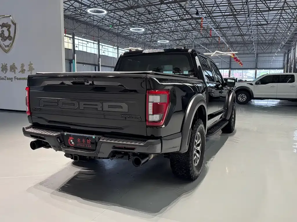 Ford F-150 Raptor 2024 из CN, фото 9