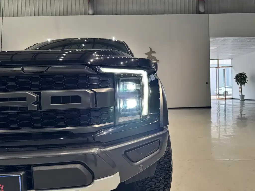 Ford F-150 Raptor 2024 из CN, фото 10