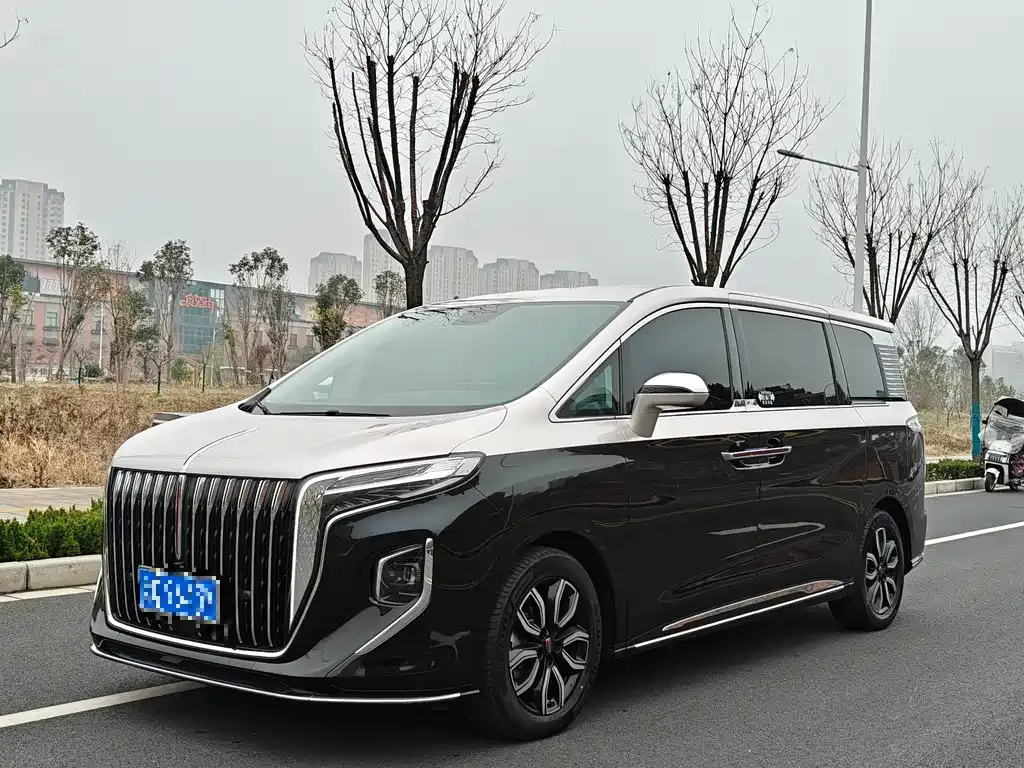 Hongqi HQ9 2023 из CN, фото 1