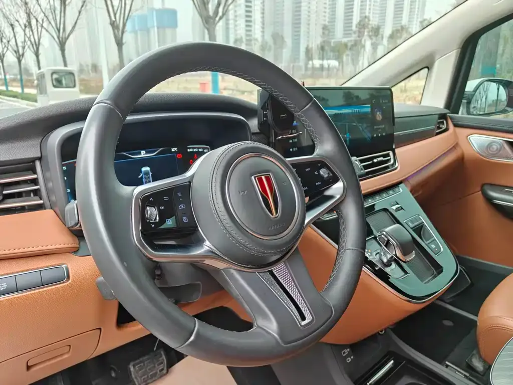 Hongqi HQ9 2023 из CN, фото 5