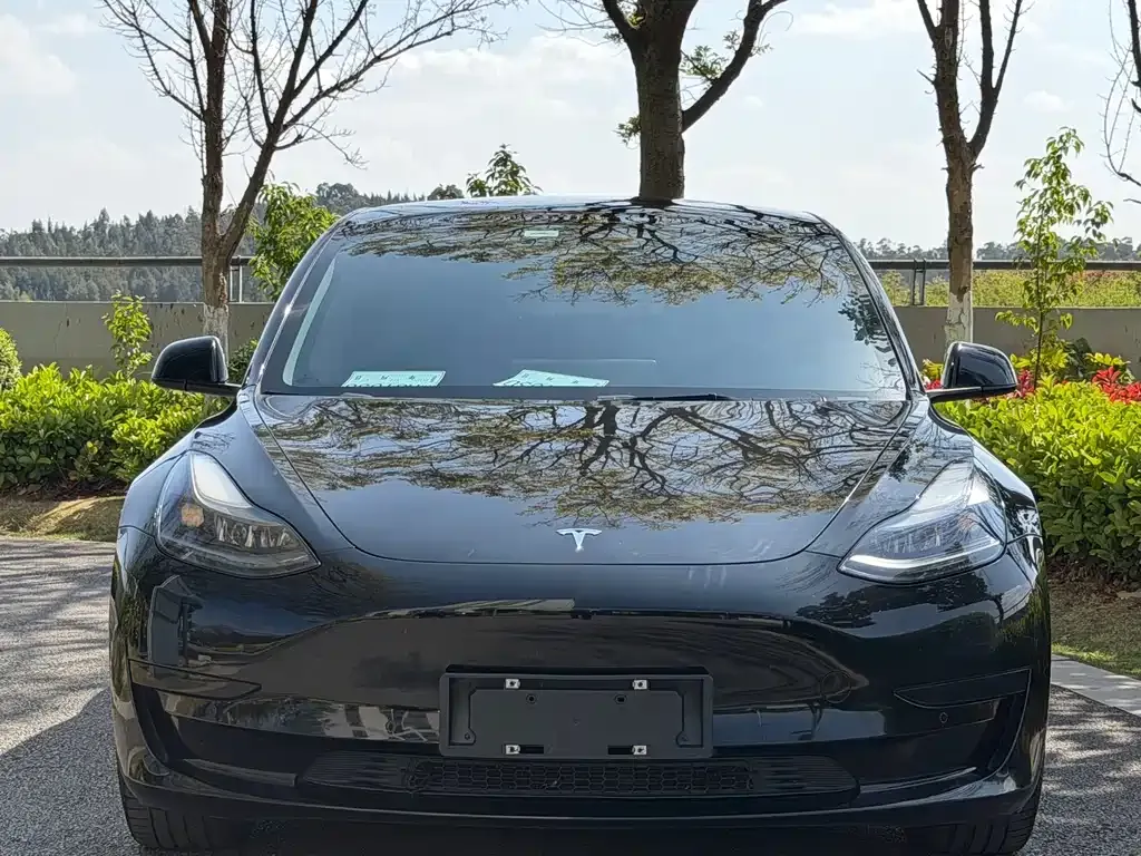 Tesla Model 3 — фото 1